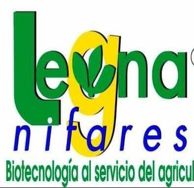 Auspiciante 4